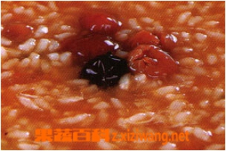 红枣桂圆粥做法