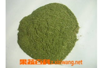 全松茶