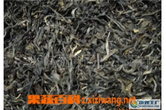 生普洱茶的功效与作用