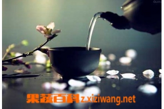 茶道文化