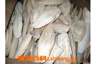 海螵蛸的副作用