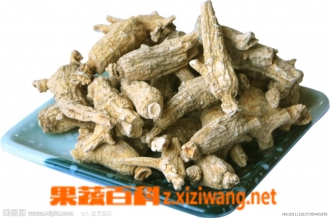 西洋参的功效和作用