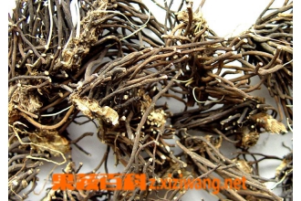 威灵仙食疗功效