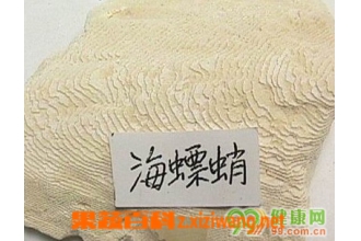 海螵蛸的功效与作用