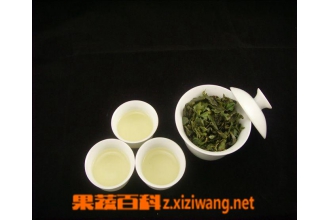 铁观音春茶