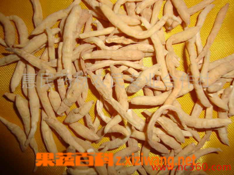 果蔬百科太子参泡水喝的功效