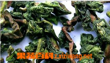 果蔬百科乌龙茶哪些 乌龙茶的种类