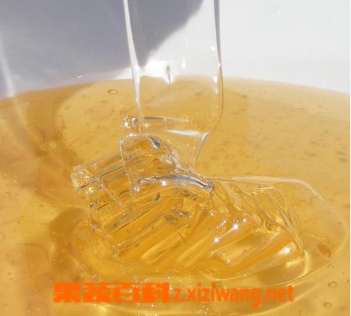 果蔬百科 蜂蜜的作用与功效
