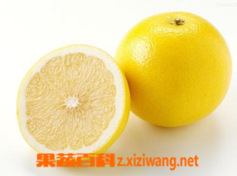 果蔬百科 柚子的功效与作用