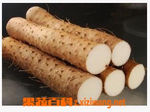 果蔬百科 山药的功效与作用
