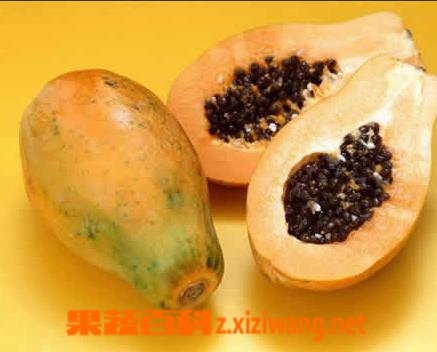 果蔬百科木瓜的功效与作用