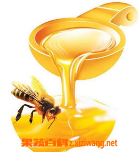 果蔬百科蜂胶的作用与功效