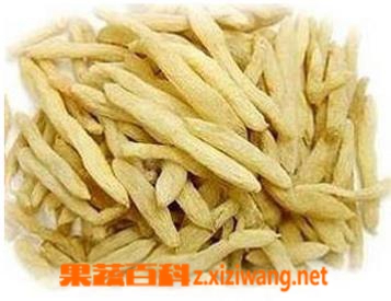 果蔬百科麦冬的主要功效与作用