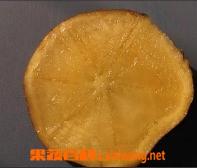 果蔬百科雪莲果可以减肥吗 雪莲果如何减肥