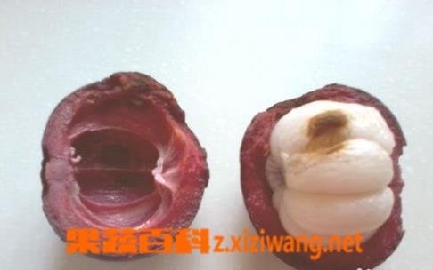 果蔬百科山竹怎么剥 如何剥山竹
