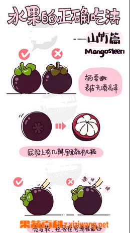 果蔬百科山竹怎么吃图解 山竹吃法介绍
