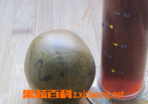 果蔬百科罗汉果怎么泡水喝
