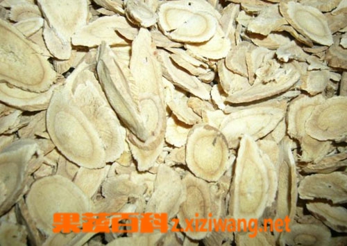 北芪具补脾益气的功效 果蔬百科