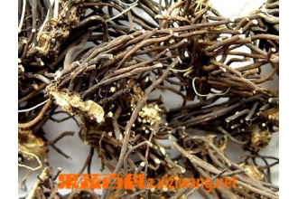 威灵仙的功效与作用及食用方法