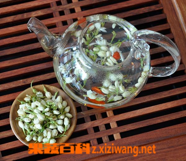 果蔬百科