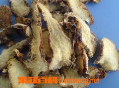 果蔬百科白芨的功效与作用