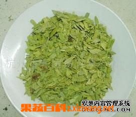 果蔬百科番泻叶的功效与作用