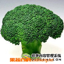 果蔬百科西兰花的家常做法