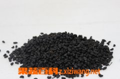 果蔬百科女贞子
