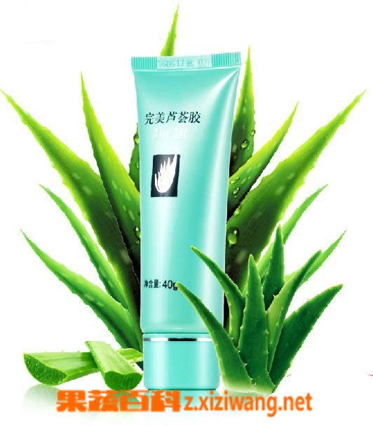 果蔬百科完美芦荟胶