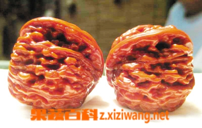 果蔬百科蜜蜡
