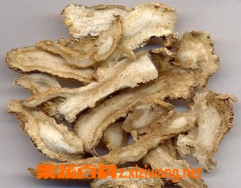 果蔬百科当归