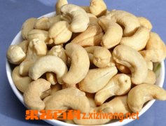 果蔬百科腰果