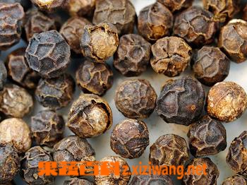 果蔬百科胡椒