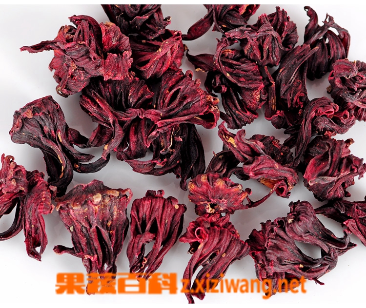 果蔬百科玫瑰茄