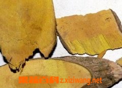 果蔬百科功劳木