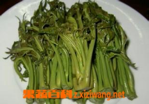 果蔬百科香椿芽