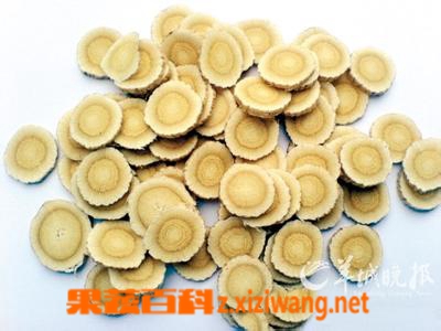 果蔬百科黄芪