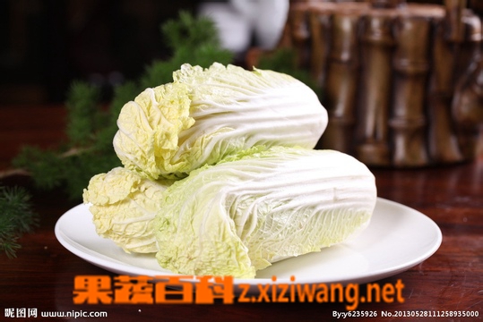 果蔬百科娃娃菜