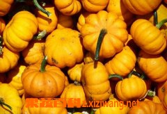 果蔬百科肠胃不好吃什么蔬菜好