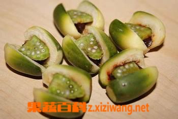 果蔬百科 吃槟榔的坏处有哪些