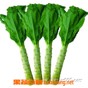 果蔬百科莴笋