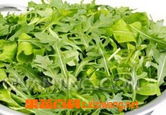 芝麻菜过敏是什么原因 芝麻菜过敏怎么办