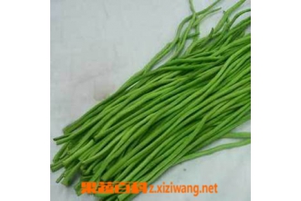 豇豆种植技巧和豇豆田间管理办法