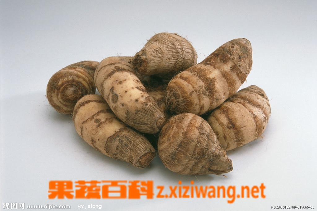 果蔬百科芋头