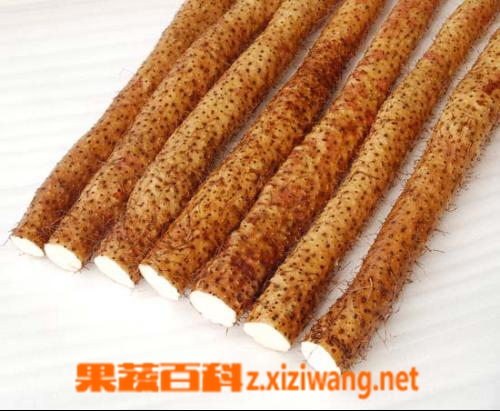 果蔬百科淮山药