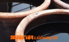 果蔬百科陈醋