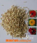 果蔬百科白茅根