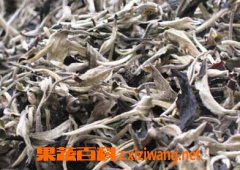 果蔬百科月光白茶