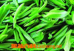 果蔬百科仙人茶