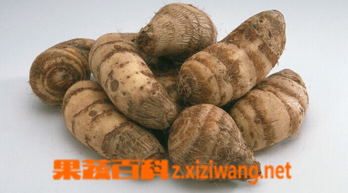 果蔬百科芋头图片